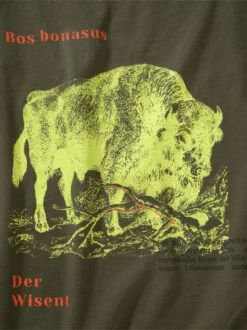 Wisent-Shirt -Jacken Verkaufs-Shop EC23 6250 DG 1